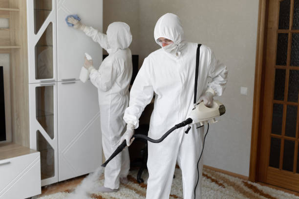 Asbestos and Lead Testing During Mold Inspection in Oglesby, IL